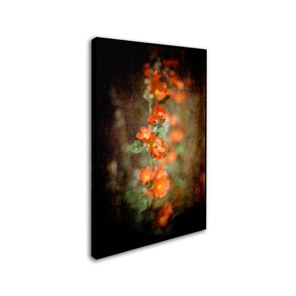 LightBoxJournal 'Desert Flower 5' Canvas Art,22x32